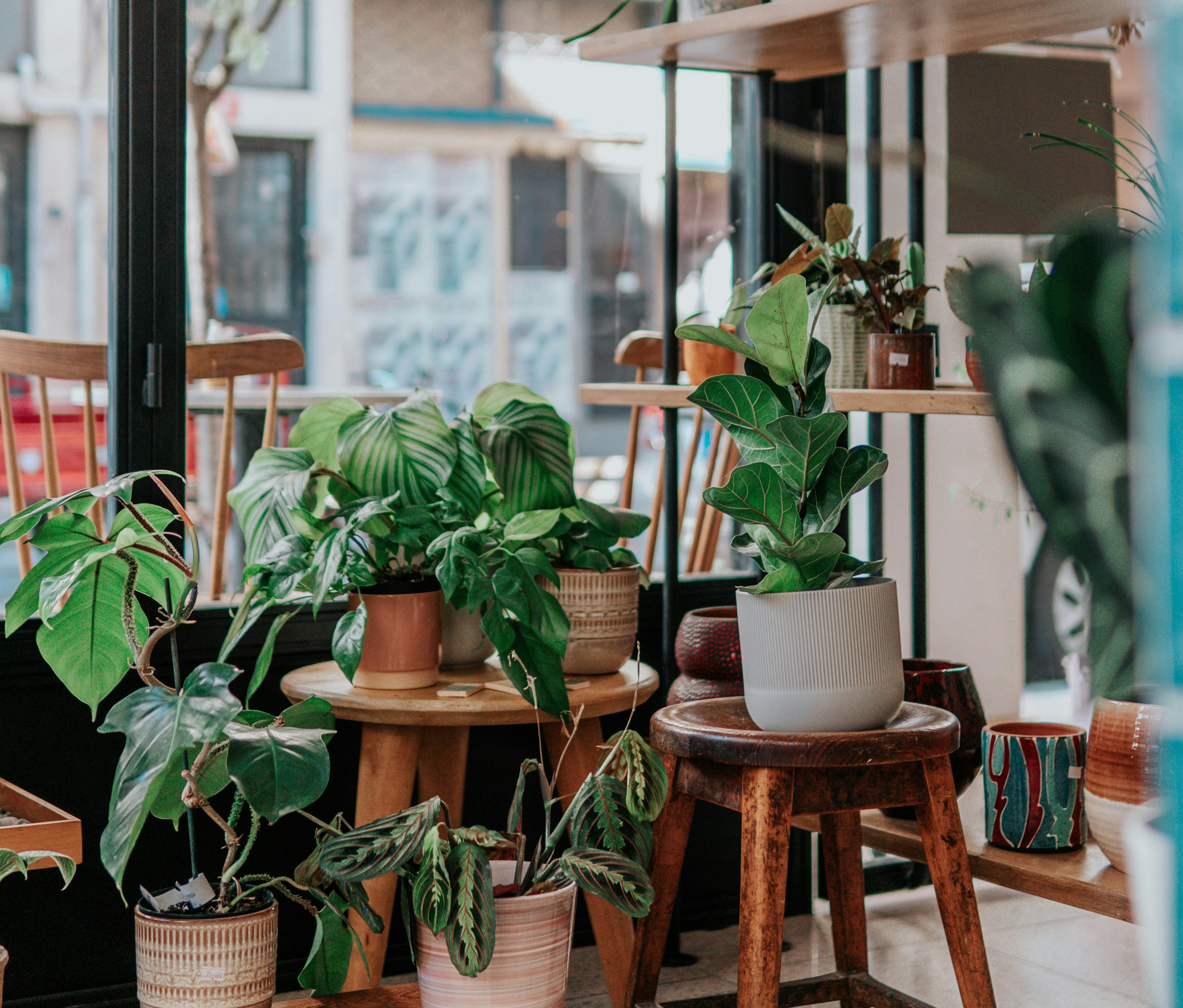 Top Closing Gift Ideas for Georgia Realtors: Thoughtful, Local & Memorable