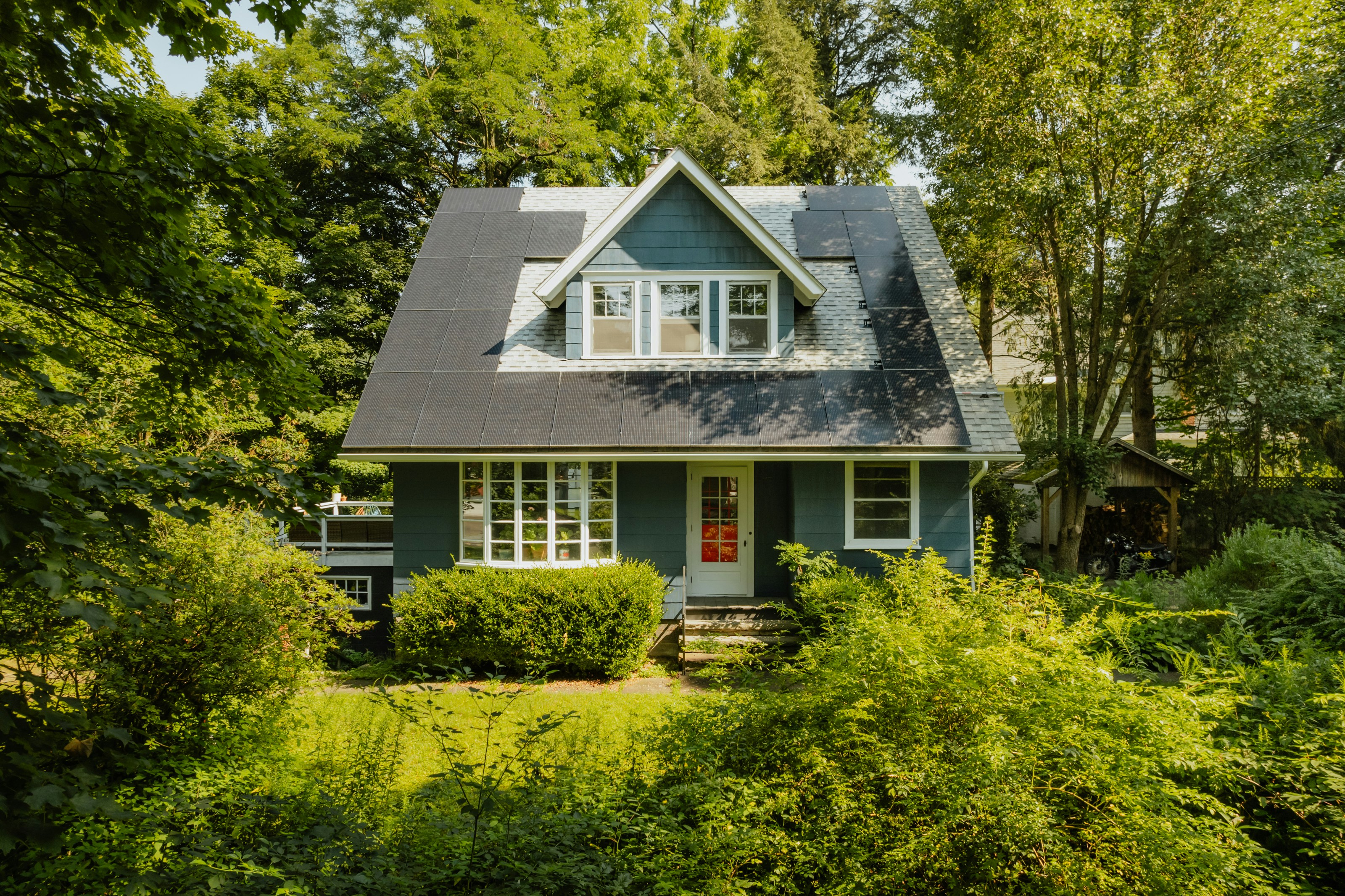 House in Forest