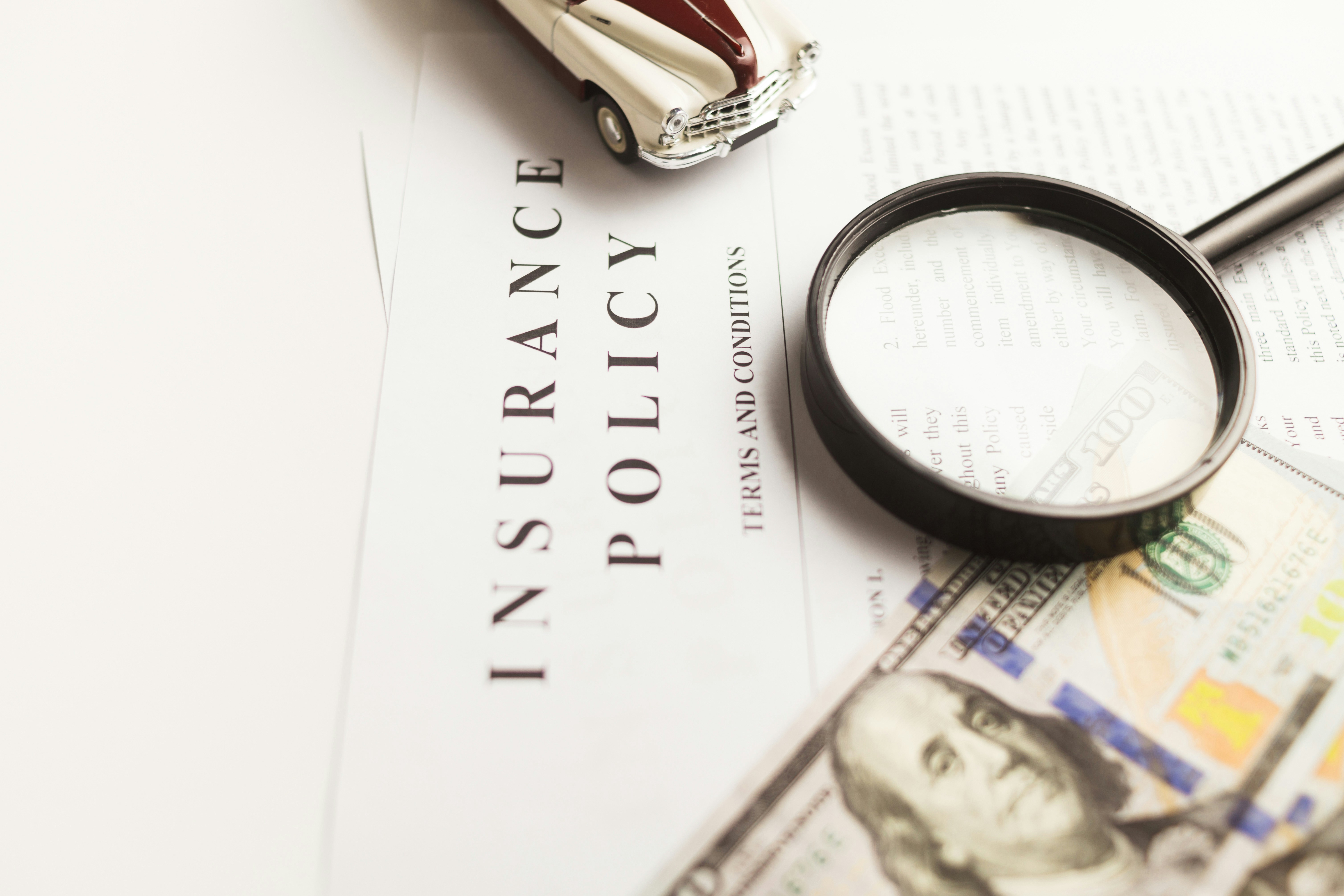 contract with money and magnifying glass